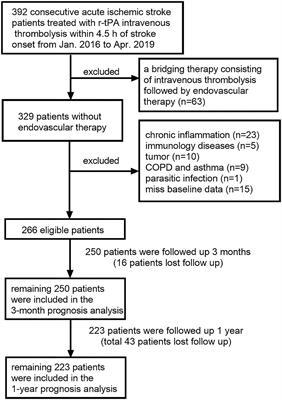 Eosinophil-to-Neutrophil Ratio Predicts Poor Prognosis of Acute Ischemic Stroke Patients Treated With Intravenous Thrombolysis